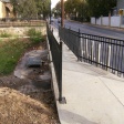 San Pedro Huisache Phase II Thumb